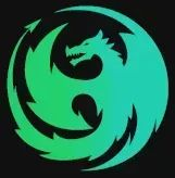 Dragon Poland Transport